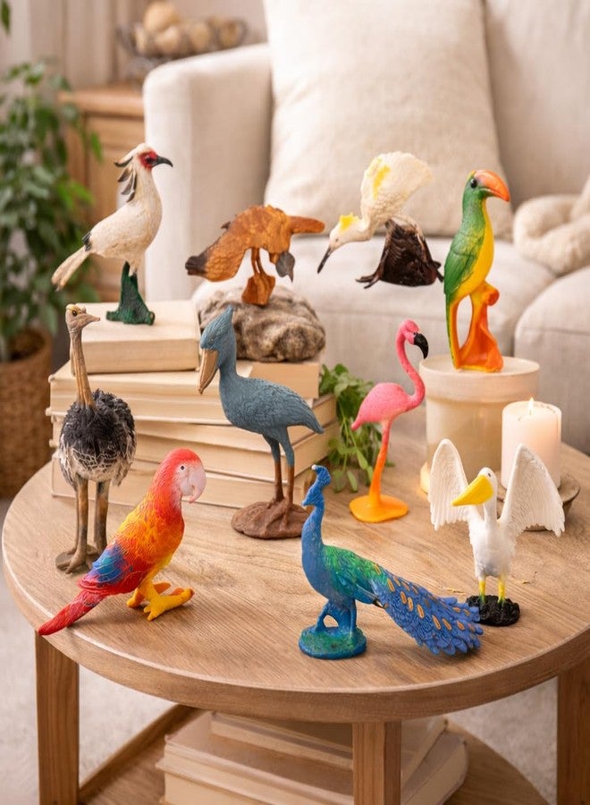 DTR Creation Pack of 10 Bird Figurines for Kids | Realistic Wild Bird Animal Toys | Educational Plastic Miniature Birds Set for Learning, School Projects & Home Décor - Image 4